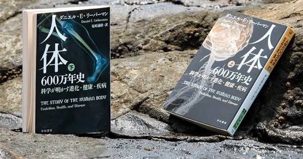 人体600万年史（上）（下）─科学が明かす進化・健康・疾病 – 科学道100冊