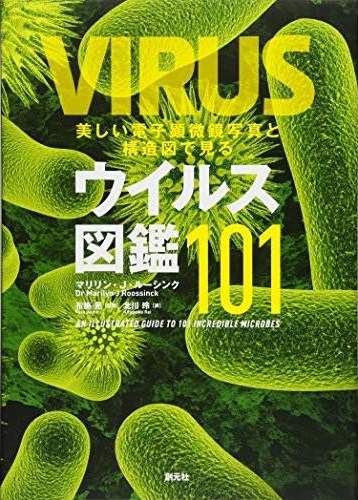 書籍『美しい電子顕微鏡写真と構造図で見るウイルス図鑑101』の画像