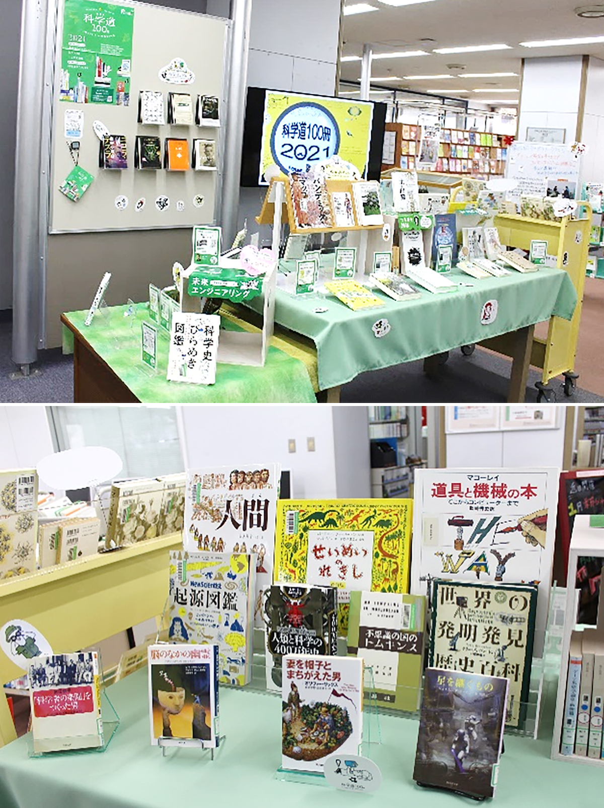 城西大学水田記念図書館の展示風景