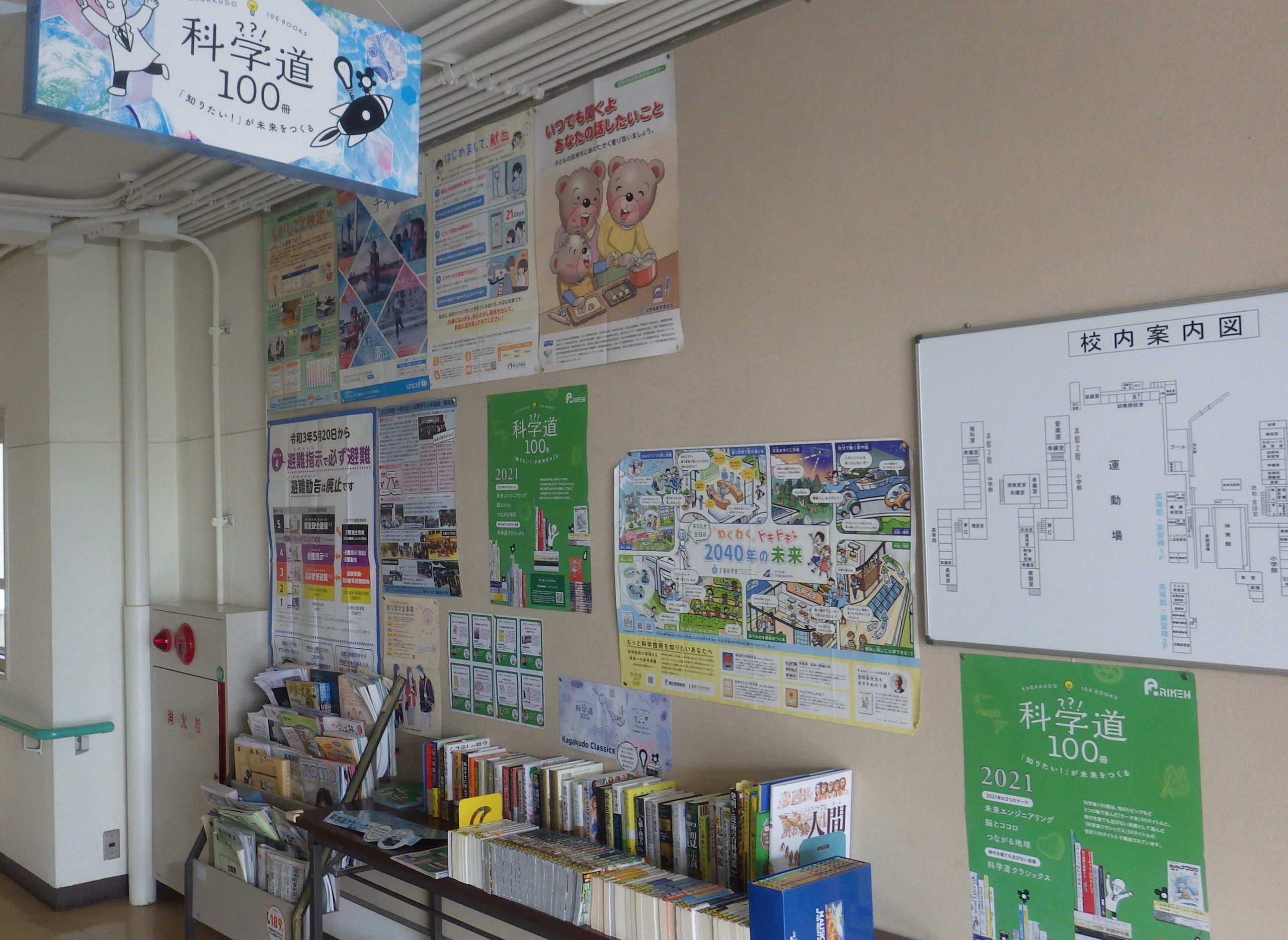 滋賀県立聾話学校の展示風景の画像