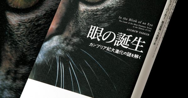 眼の誕生 カンブリア紀大進化の謎を解く – 科学道100冊